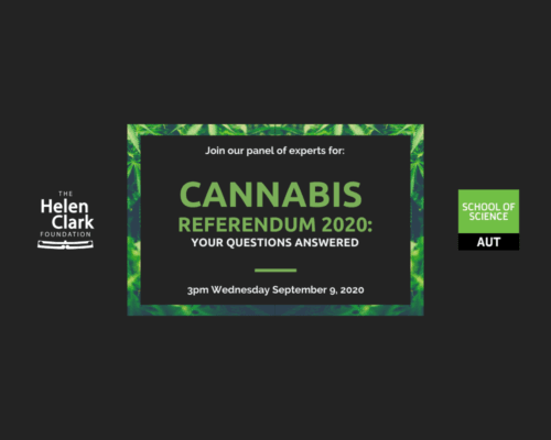 Cannabis Referendum 2020: Your Questions Answered