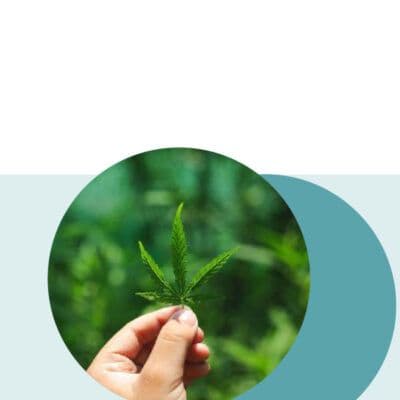 HCF reiterates support for yes vote in Cannabis Referendum