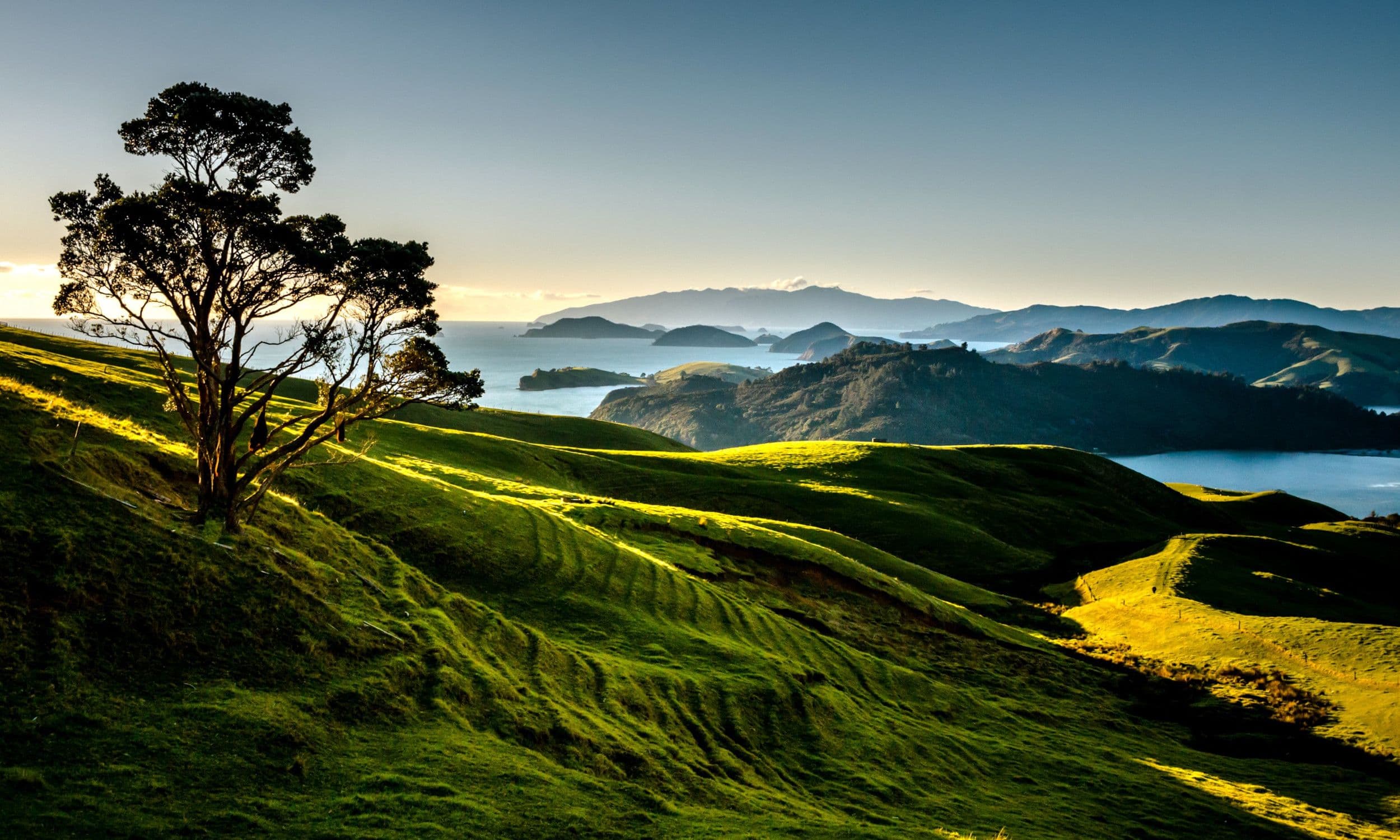 The Helen Clark Foundation turns seven