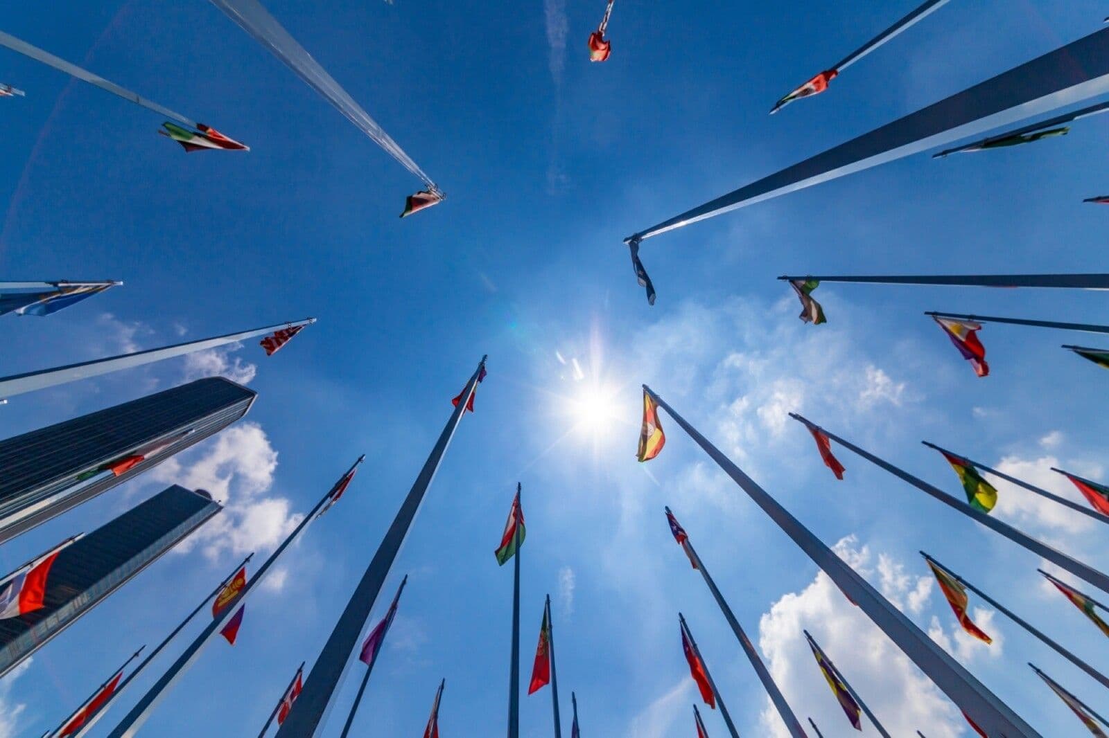 A great rupture? The international system under pressure and implications for New Zealand