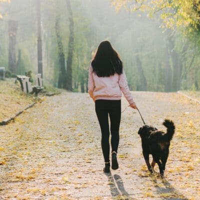 Project Announcement: Addressing sexual violence against women